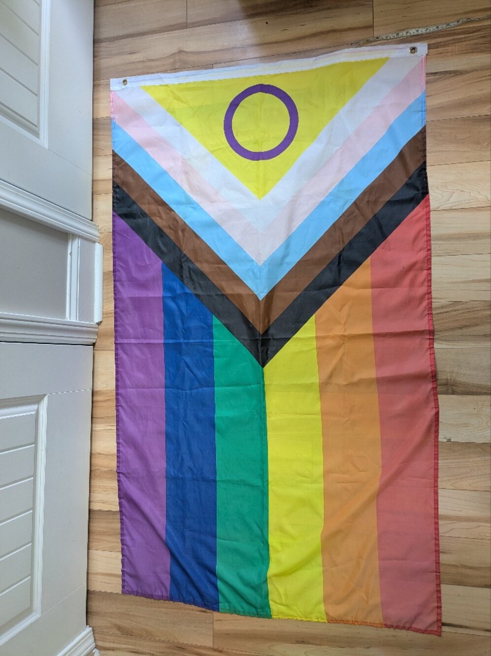 Inter-sex Inclusive Progress Pride Rainbow Flag 3x5
